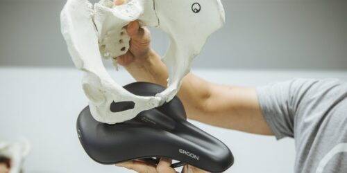 À la recherche de la selle parfaite