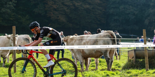 La saison de cyclo-cross est bien lancée La saison de cyclo-cross est bien lancée