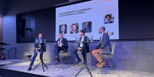 ‘17 to 20% of the fleet by 2030’